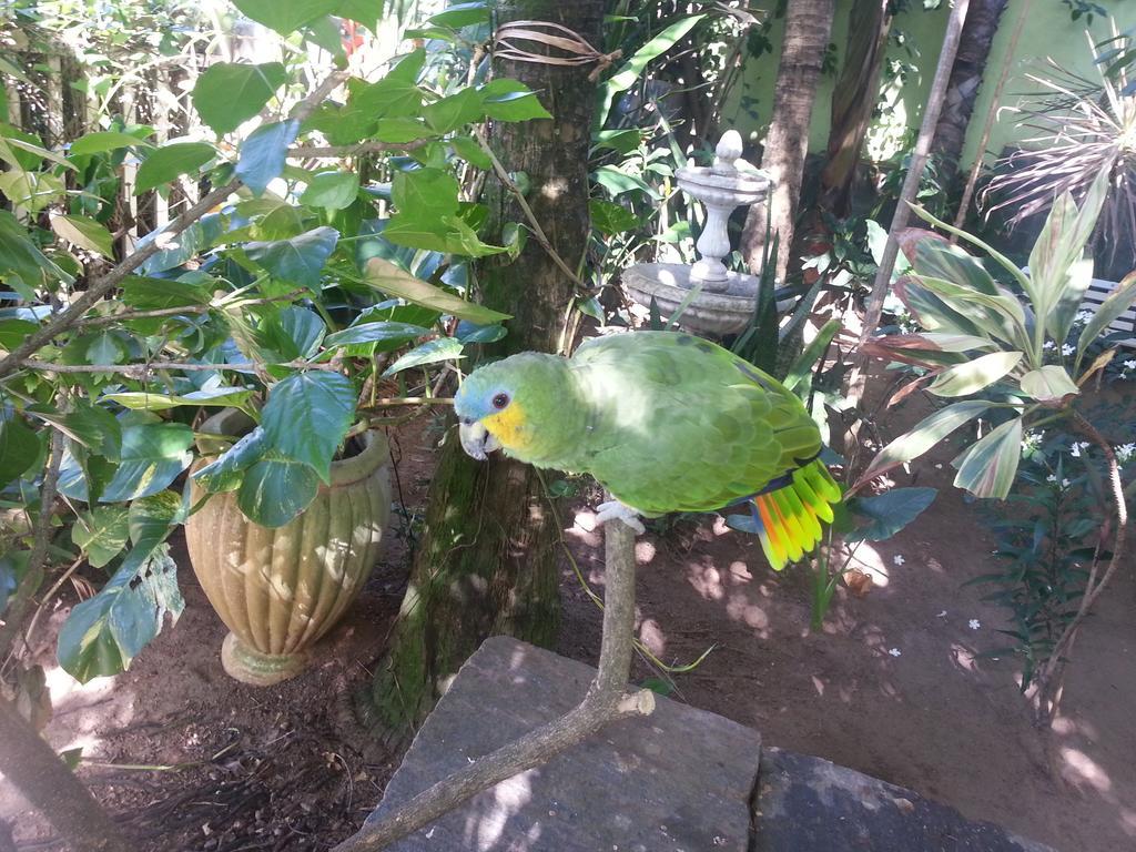 Hotel Pousada Papaya Verde Salvador Bagian luar foto