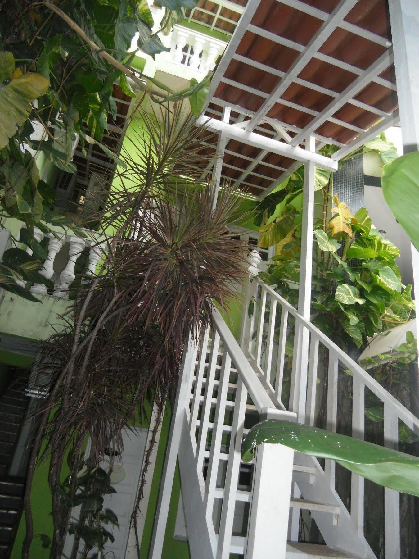 Hotel Pousada Papaya Verde Salvador Bagian luar foto