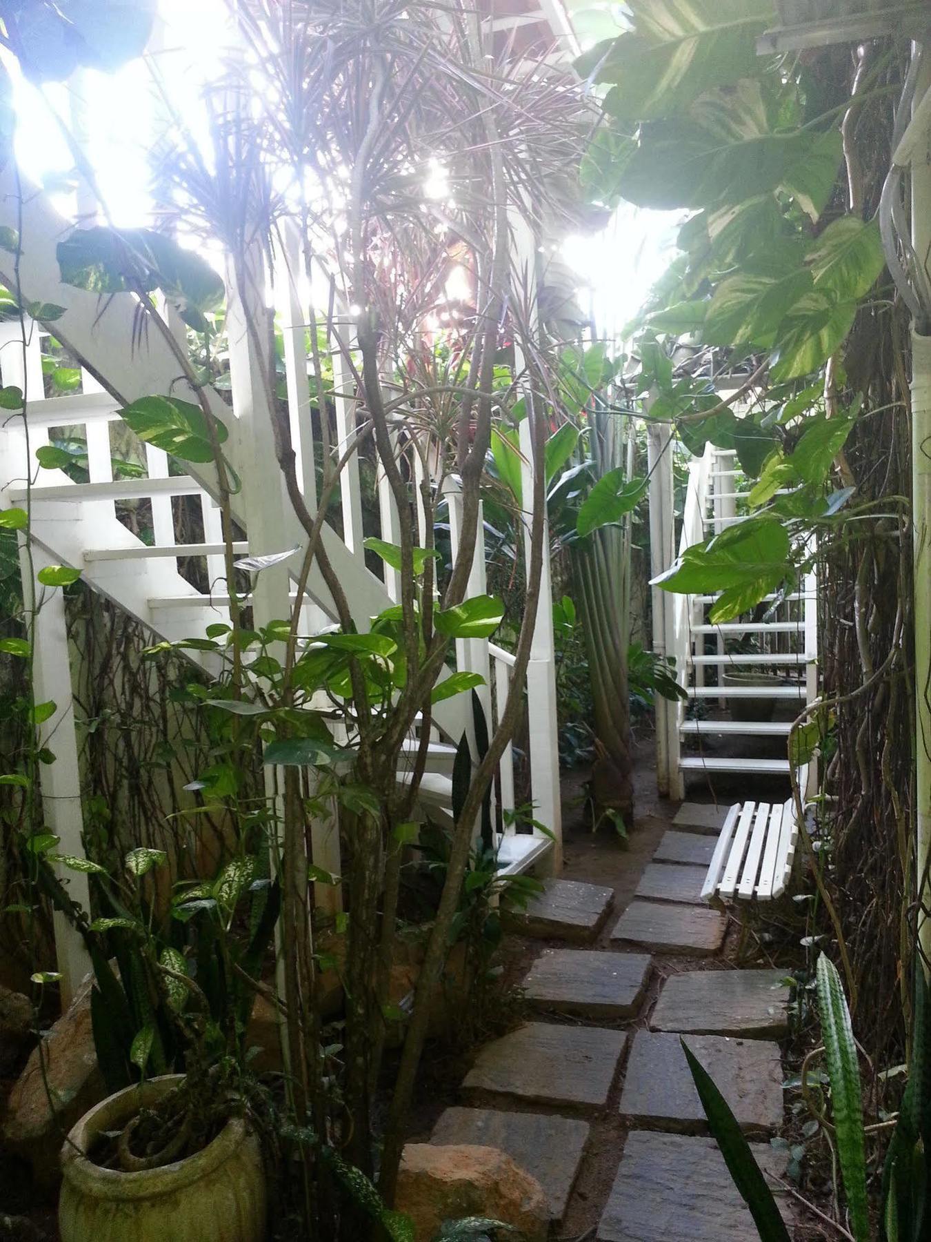 Hotel Pousada Papaya Verde Salvador Bagian luar foto
